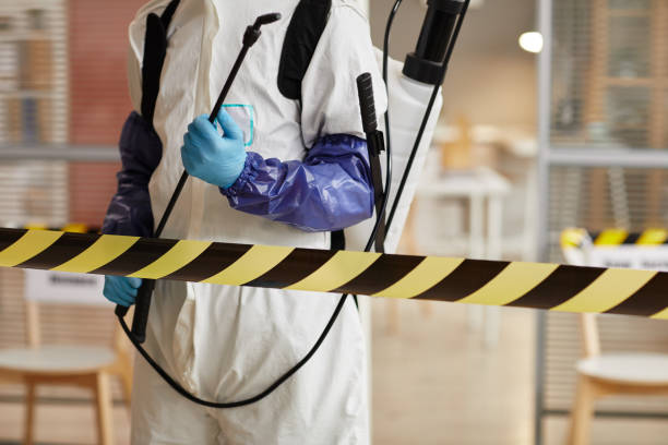 Professional Hoarding Cleanup technician working in Hyannis, MA
